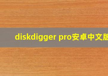 diskdigger pro安卓中文版